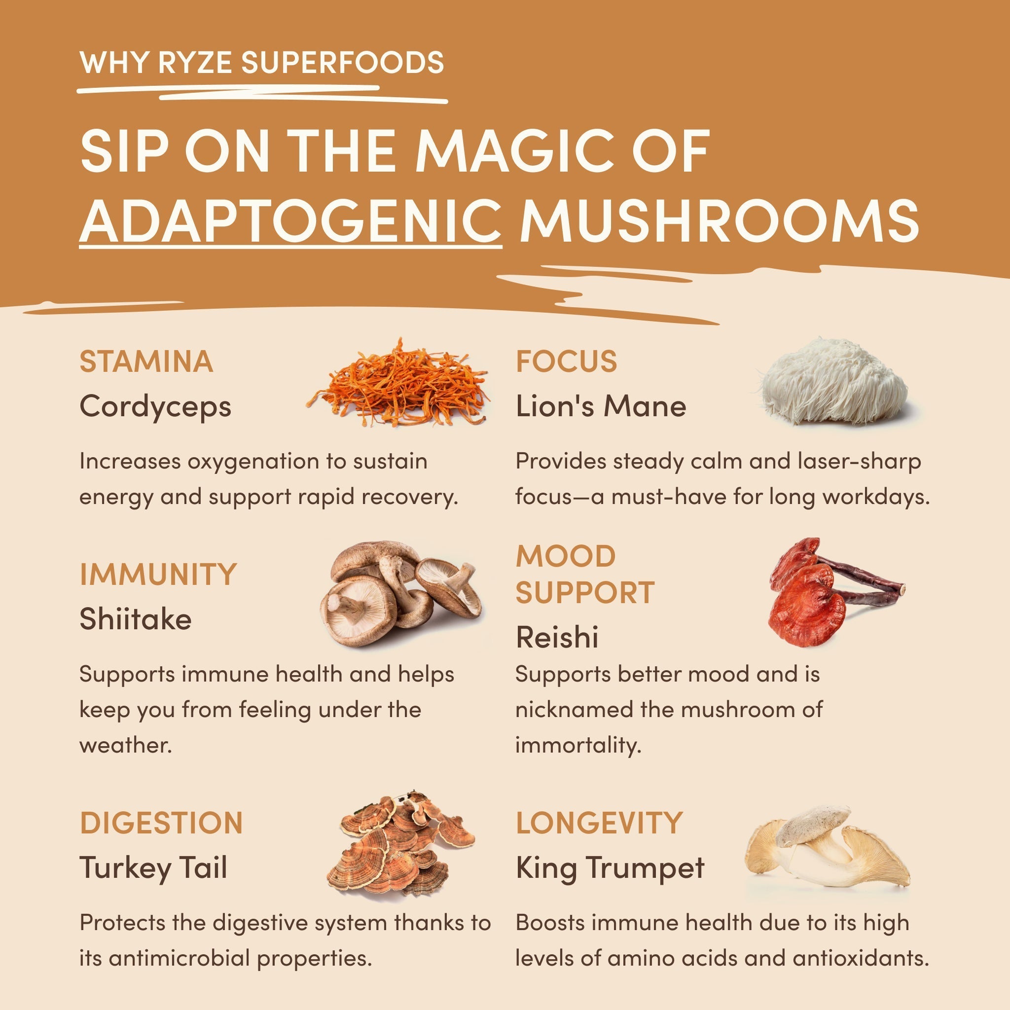 Mushroom Overnight Oats (14 Servings) - Sip Something Better