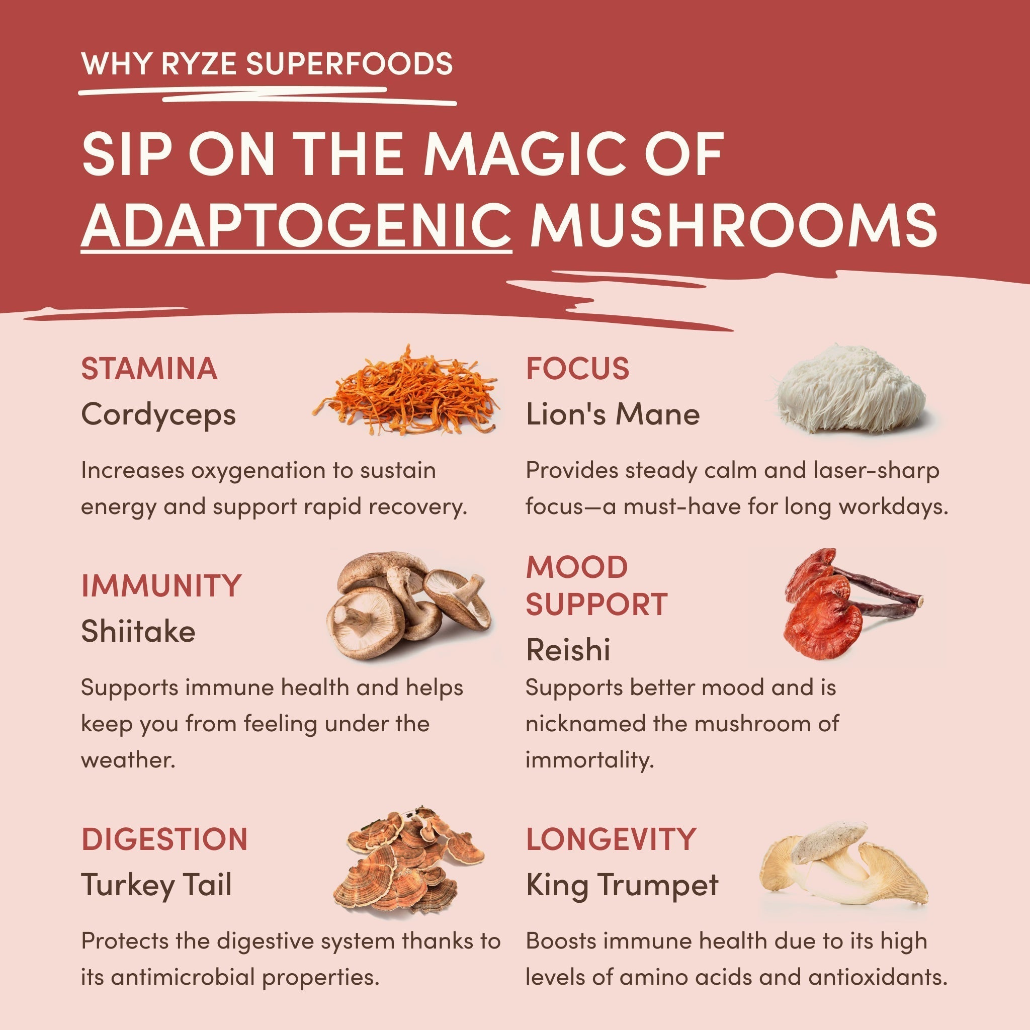 Mushroom Chai (20 Servings) - Smooth Morning Coffee