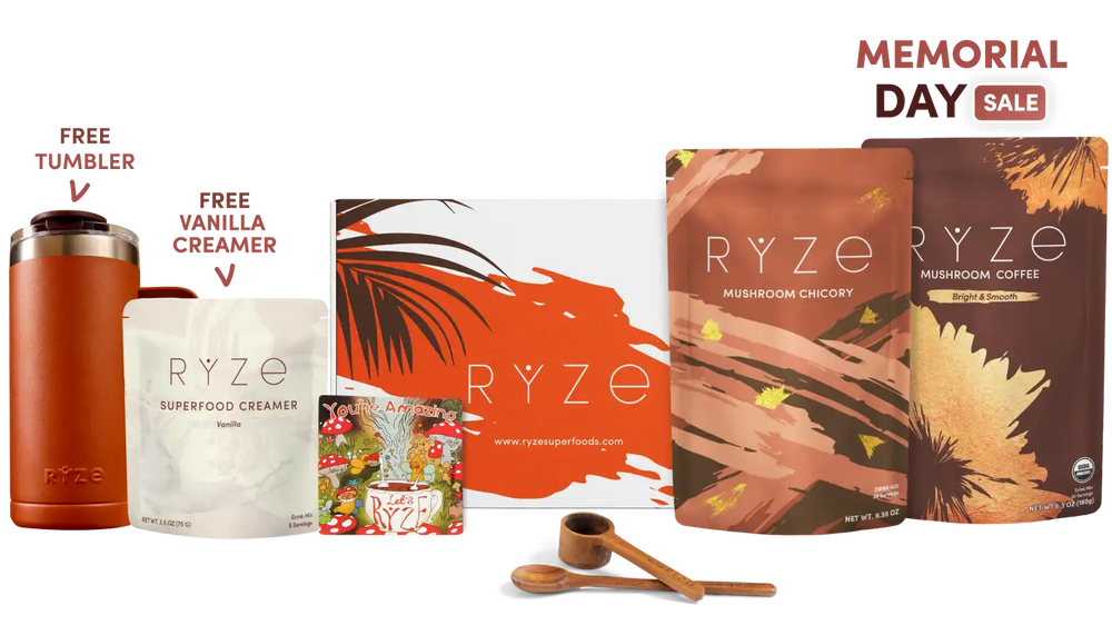 Lasting Energy Bundle (Chicory + Coffee) - Superfood Coffee Moment