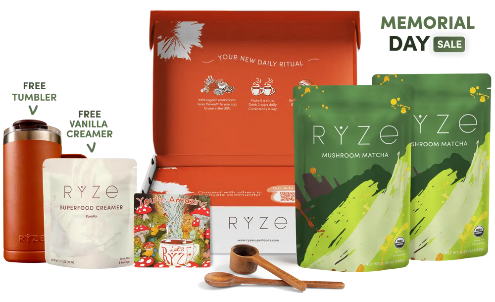 Mushroom Matcha Starter Kit (60 Servings) - Coffee Made Simple