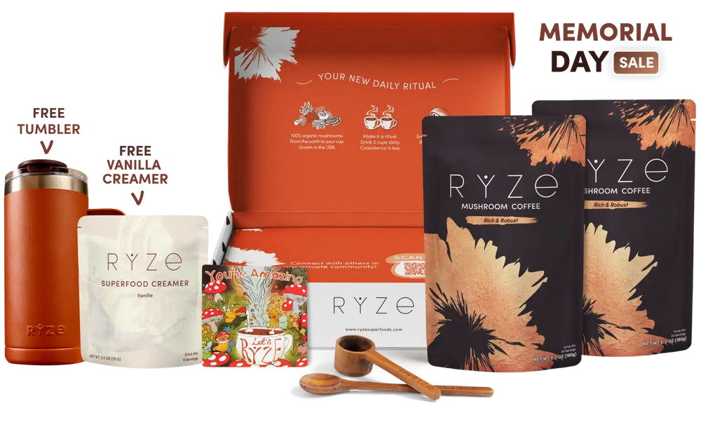 Mushroom Coffee Dark Roast Starter Kit (60 servings) - Morning Coffee Ritual